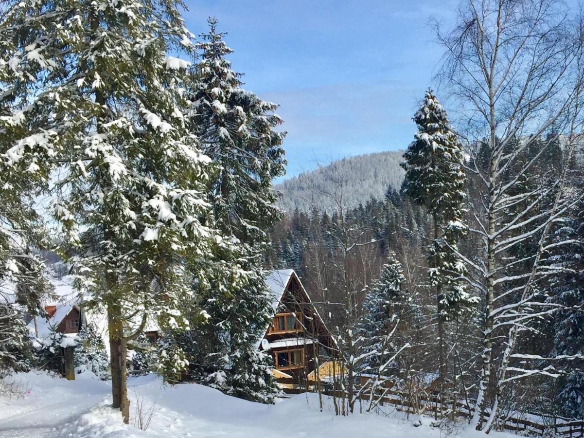 Winterfell Korbielow - Dom Z Basenem Sezonowym Lipiec-Sierpien Eksteriør bilde